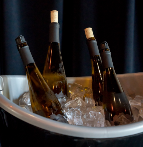 bottles in ice